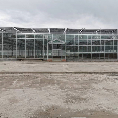 Invernadero agrícola de cristal de verduras del crecimiento del Multi-palmo de la fibra de vidrio completa del invernadero