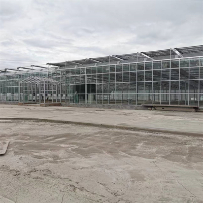 Invernadero agrícola de cristal de verduras del crecimiento del Multi-palmo de la fibra de vidrio completa del invernadero