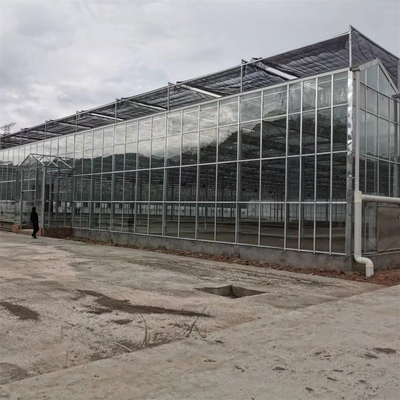 Los invernaderos agrícolas Venlo del Multi-palmo moderaron el invernadero de cristal con el sistema cada vez mayor hidropónico