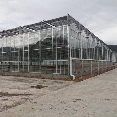 Invernadero agrícola de cristal de verduras del crecimiento del Multi-palmo de la fibra de vidrio completa del invernadero