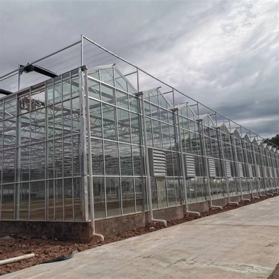 Invernadero de cristal del invierno de Venlo de los recambios del invernadero del sistema de calefacción Serra Di Vetro Multi-Span Greenhouse Venlo