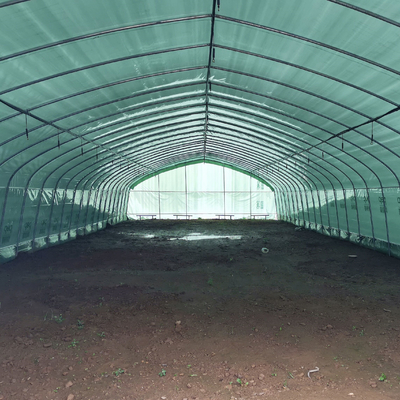 Solo negro Mesh Mushroom Cultivation In Greenhouses del invernadero del palmo de la capa doble