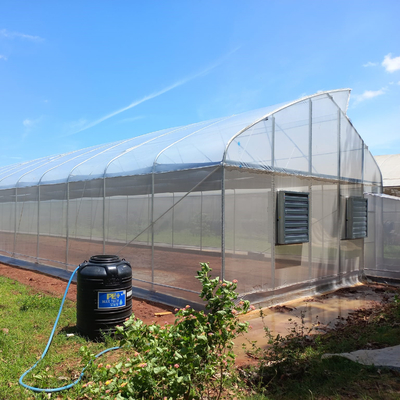 Invernadero de acero de la fuente de la granja del túnel del OEM de la galvanización plástica hidropónica del invernadero
