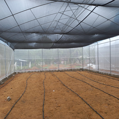 150 cultivo sostenible comercial del invernadero de 200 micrones moderno con la puerta del 1*2m