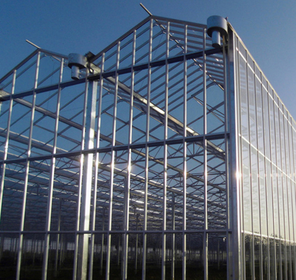 Vidrio de policarbonato de cartón hueco Industrial de vidrio exterior multispan profesional invernadero holandés para la plantación de flores