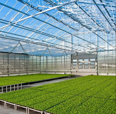 Vidrio de policarbonato de cartón hueco Industrial de vidrio exterior multispan profesional invernadero holandés para la plantación de flores
