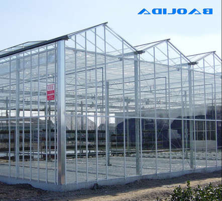 Alta estructura fuerte ISO9001 del invernadero de cristal de gran tamaño de Venlo