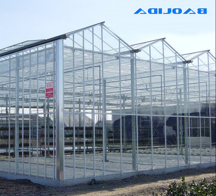Vidrio de policarbonato de cartón hueco Industrial de vidrio exterior multispan profesional invernadero holandés para la plantación de flores