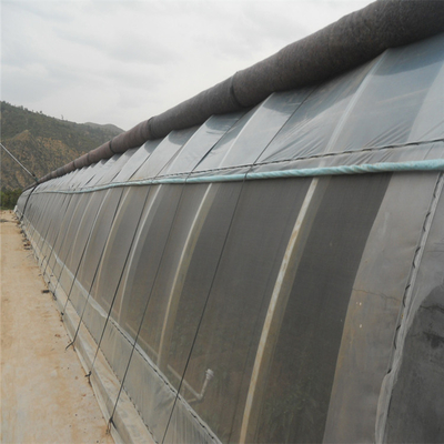 Invernadero agrícola aislado automático con control de temperatura personalizado