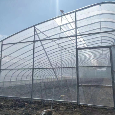 Invernadero solar pasivo de película de plástico con soporte para la recolección de agua de lluvia