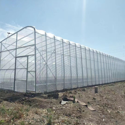 Invernadero solar pasivo de película de plástico con soporte para la recolección de agua de lluvia
