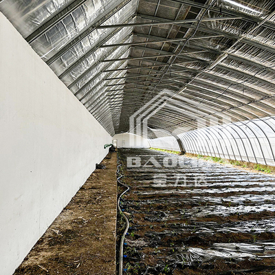 Invernadero agrícola de película de plástico con aislamiento elevado Circulación automática de aire