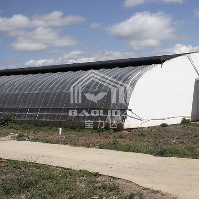 Invernadero agrícola de película de plástico con aislamiento elevado Circulación automática de aire