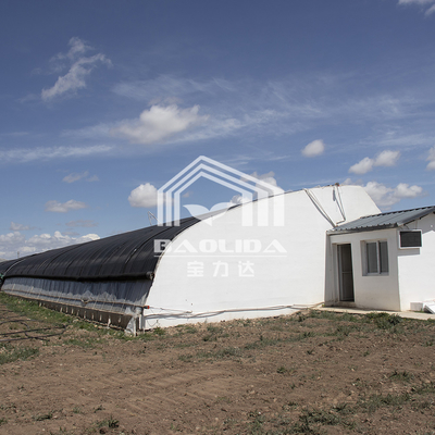 Invernadero solar pasivo de control de temperatura personalizado con alto aislamiento