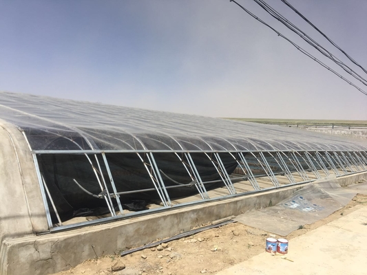 Invernaderos de control de temperatura personalizados con sistema de enfriamiento con energía solar