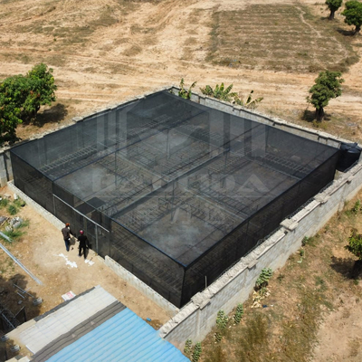 Tamaño de almacén barato Área tropical Ventilación Red de plástico Rectángulo Invernadero con red de sombra