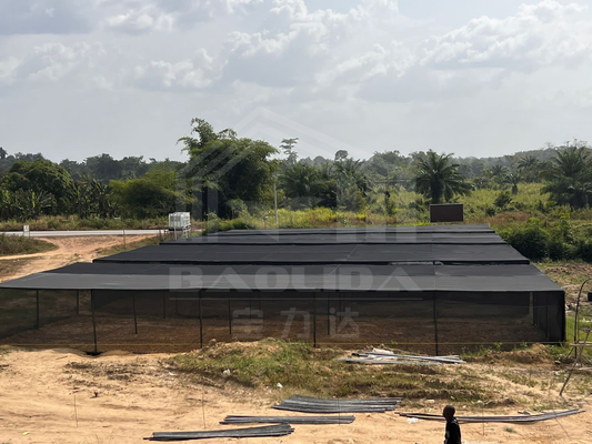 Cuadro de invernadero rectangular de acero de bajo precio con red de sombra para áreas tropicales