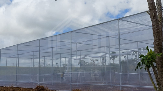 Tamaño de almacén barato Área tropical Ventilación Red de plástico Rectángulo Invernadero con red de sombra