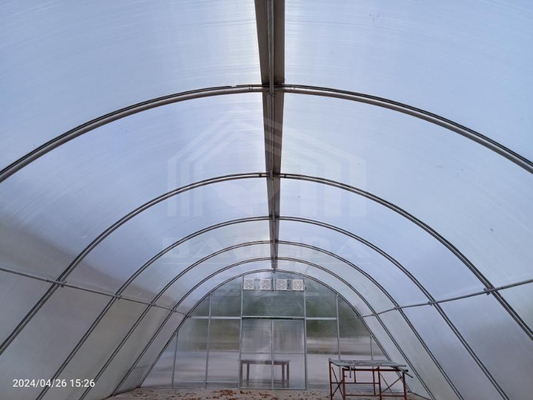 Invernadero personalizable con estructura estable para secar plantas y alimentos
