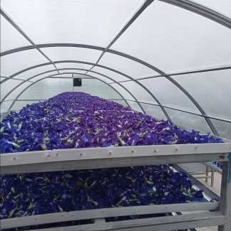Invernadero de secado solar de hierbas de pescado con protección UV duradero con estructura estable para secado de plantas y alimentos