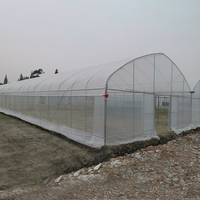Resistencia al viento UV Net House Invernadero Controlador ambiental Invernaderos de múltiples tramos