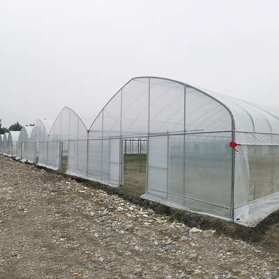 Resistencia al viento UV Net House Invernadero Controlador ambiental Invernaderos de múltiples tramos