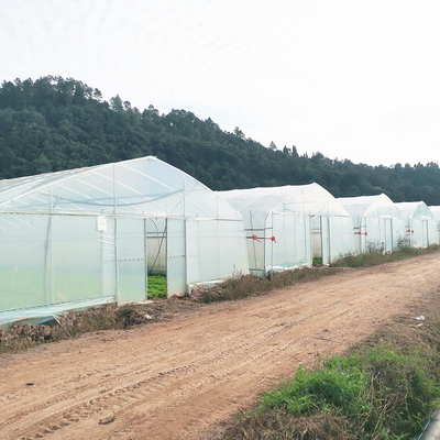 Invernadero de película de plástico cálido de una sola capa Malasia Invernadero de flores de tomate para la agricultura