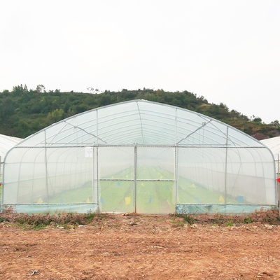 Invernadero de película de plástico cálido de una sola capa Malasia Invernadero de flores de tomate para la agricultura