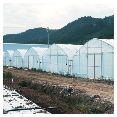 Invernadero de película de plástico cálido de una sola capa Malasia Invernadero de flores de tomate para la agricultura