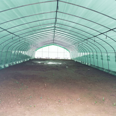 Invernadero de película de plástico cálido de una sola capa Malasia Invernadero de flores de tomate para la agricultura