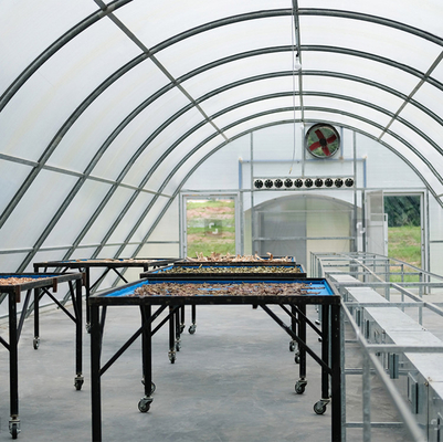 Entrega rápida 8*26 metros Secador solar único Invernadero Secado de alimentos Invernadero solar seco