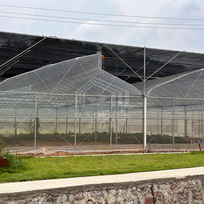 Sistema de control de la ventilación de refrigeración de las zonas tropicales Techo de dientes de sierra Poli invernadero multispano