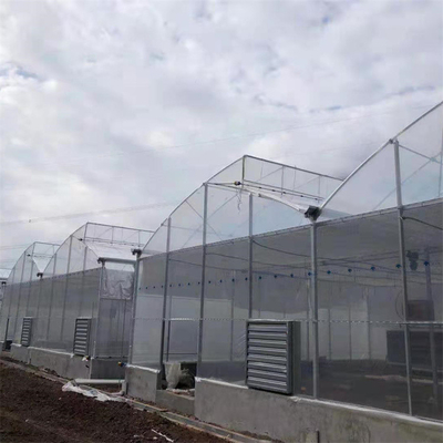 Tubo de acero galvanizado en caliente Invernadero Invernadero ventilado Diente de sierra de plástico Película de múltiples tramos Invernadero tropical