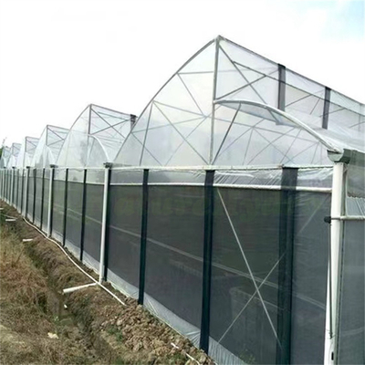 Tubo de acero galvanizado en caliente Invernadero Invernadero ventilado Diente de sierra de plástico Película de múltiples tramos Invernadero tropical