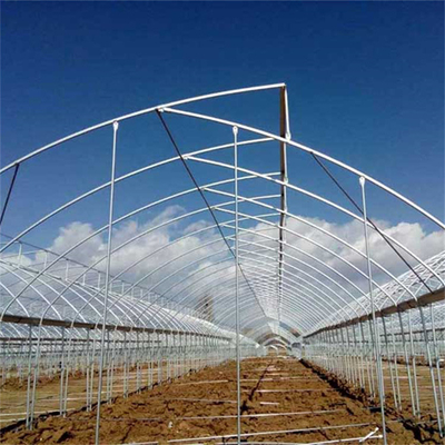 Tubo de acero galvanizado en caliente Invernadero Invernadero ventilado Diente de sierra de plástico Película de múltiples tramos Invernadero tropical