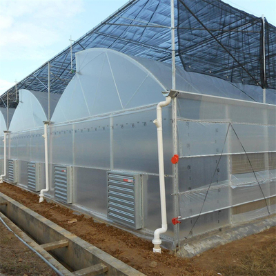 Tubo de acero galvanizado en caliente Invernadero Invernadero ventilado Diente de sierra de plástico Película de múltiples tramos Invernadero tropical