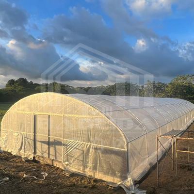 Agricultura Plantas de cultivo invernadero de túnel Venta en línea invernadero de túnel de 20 metros de largo
