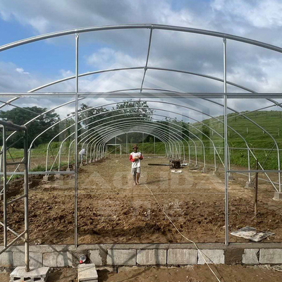 Agricultura Plantas de cultivo invernadero de túnel Venta en línea invernadero de túnel de 20 metros de largo