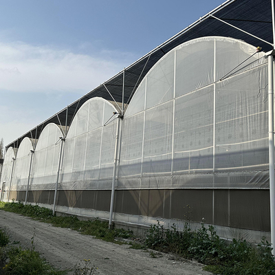 Agricultura Invernadero grande Cuadro metálico Vegetales de cultivo de múltiples bandas de longitud Túnel de cultivo de películas de múltiples bandas de longitud Invernadero