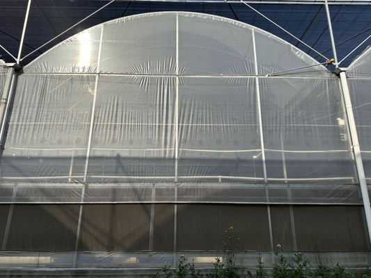 Agricultura Invernadero grande Cuadro metálico Vegetales de cultivo de múltiples bandas de longitud Túnel de cultivo de películas de múltiples bandas de longitud Invernadero