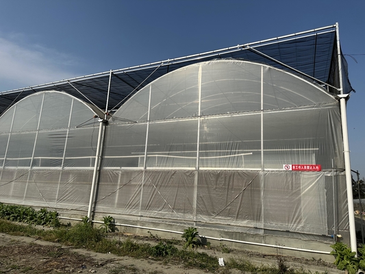 Agricultura Invernadero grande Cuadro metálico Vegetales de cultivo de múltiples bandas de longitud Túnel de cultivo de películas de múltiples bandas de longitud Invernadero