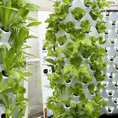 Kit de cultivo hidropónico automático con línea visible y cesta extraíble