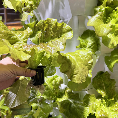 Kit de cultivo hidropónico automático con línea visible y cesta extraíble