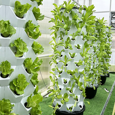 Sistema de cultivo hidropónico automático con torre de crecimiento extraíble