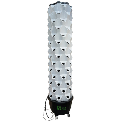 14 Capa 112 Sistema hidropónico vertical de sitio con goteo automático