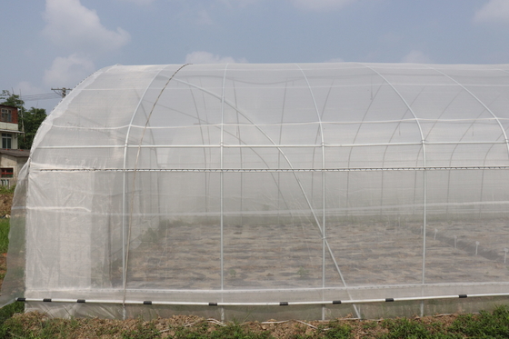 Palmo de Polytunnel Sri Lanka Colombo Steel Frame Greenhouse Single