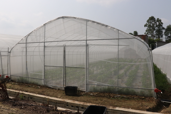Palmo de Polytunnel Sri Lanka Colombo Steel Frame Greenhouse Single