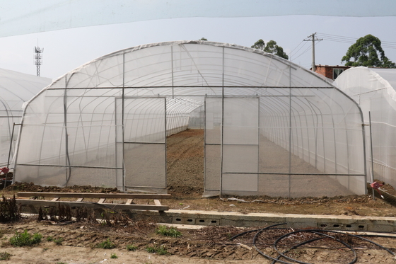 Palmo de Polytunnel Sri Lanka Colombo Steel Frame Greenhouse Single