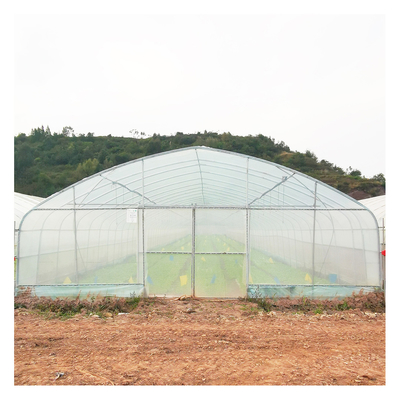 Invernadero estable de la película de polietileno de la estructura/invernadero vegetal de la planta de tomate