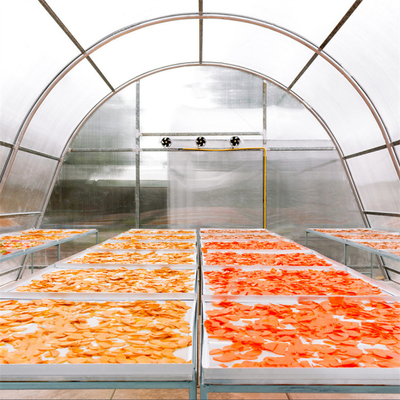 Estructura estable Invernadero de secado de vegetales y hierbas con tecnología de ventilación avanzada